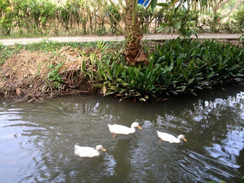Nam Thanh Homestay Vĩnh Long 외부 사진