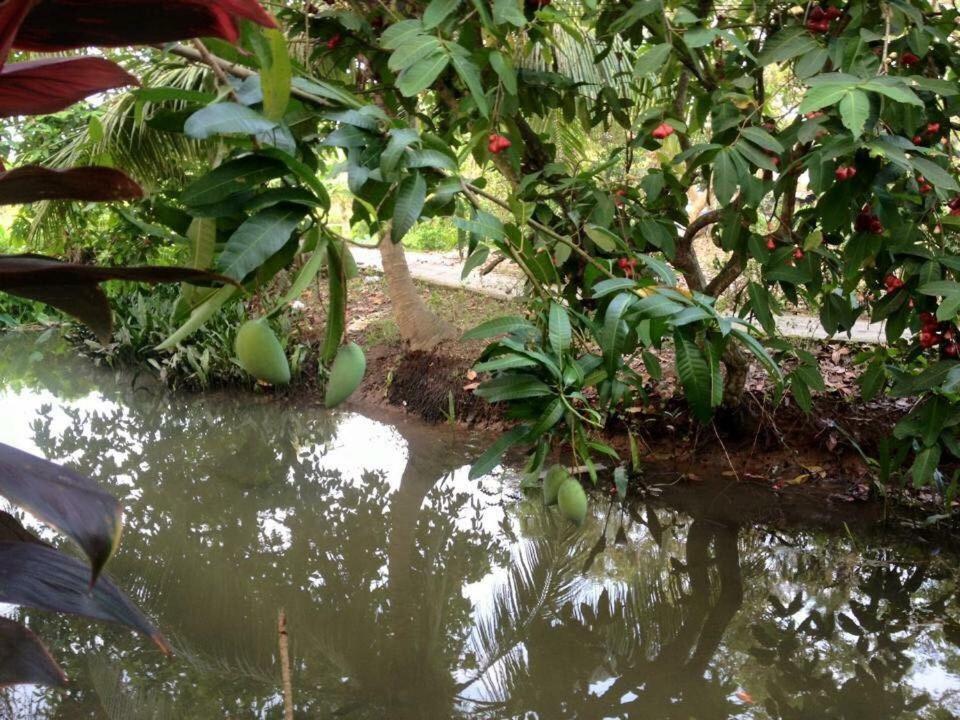 Nam Thanh Homestay Vĩnh Long 외부 사진